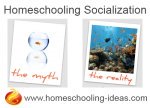 homeschool-socialization-myth-reality.jpg