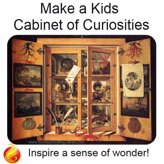 Kids Cabinet of Curiosities