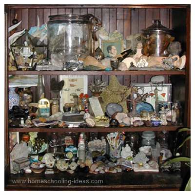 Homeschooling Cabinet Of Curiosities