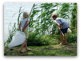 Free Field Trips - catching butterflies