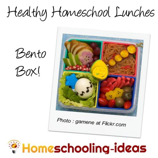 Healthy homeschool bento box lunches