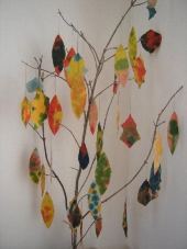 Home Schooling Science - Fall Tree