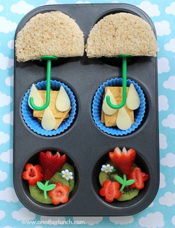 Muffin Tin Meals