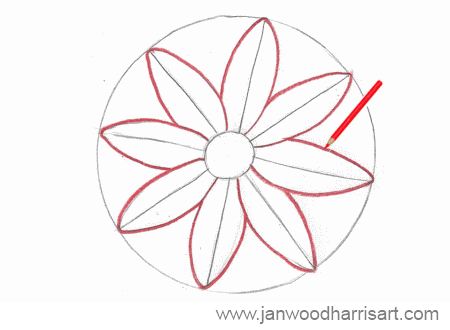 How to Draw A Daisy - Step by Step