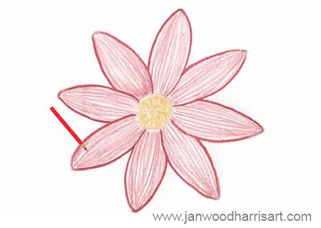 Step 4 - how to draw a daisy