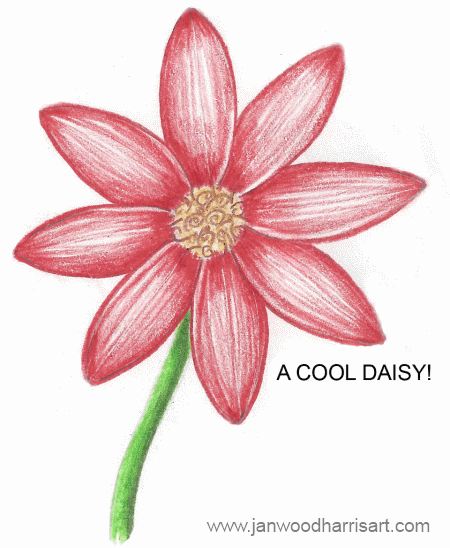 Step 5 - how to draw a daisy