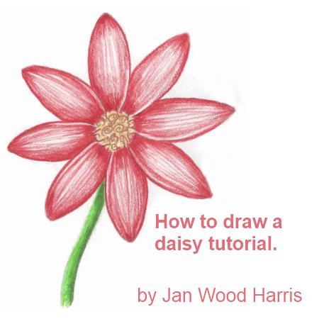 How to Draw a Daisy From Easy Simple Shapes