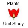 Kids science experiments - Plants unit study