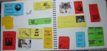 Lapbooks - Wolf Lapbook