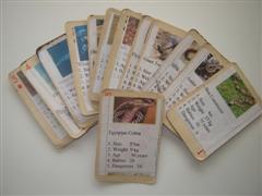 make a card game