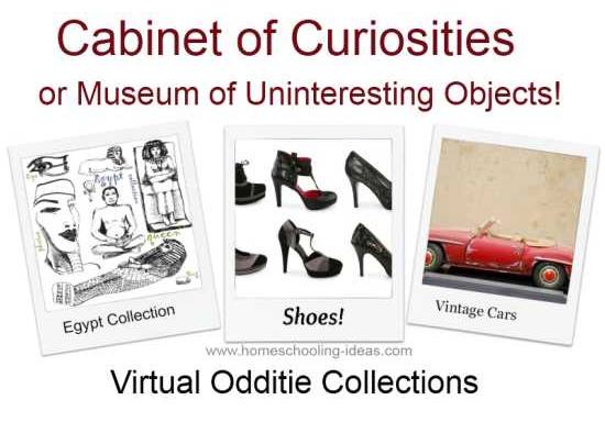 Cabinet of Curiosities for teenagers