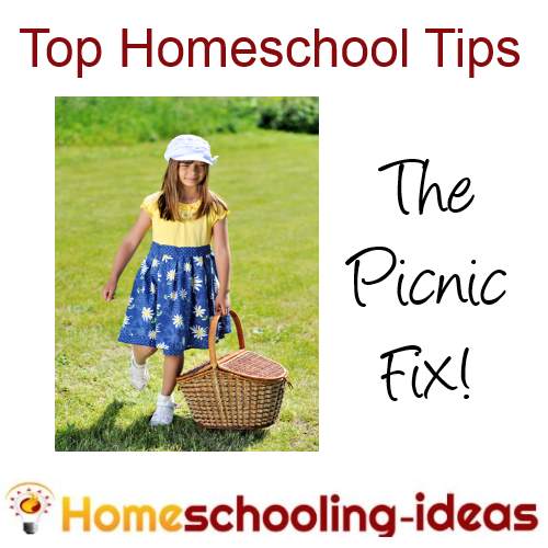 home school tips - picnic fix