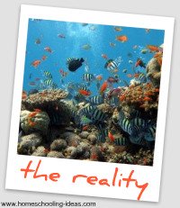 homeschool socialization - tropical fish