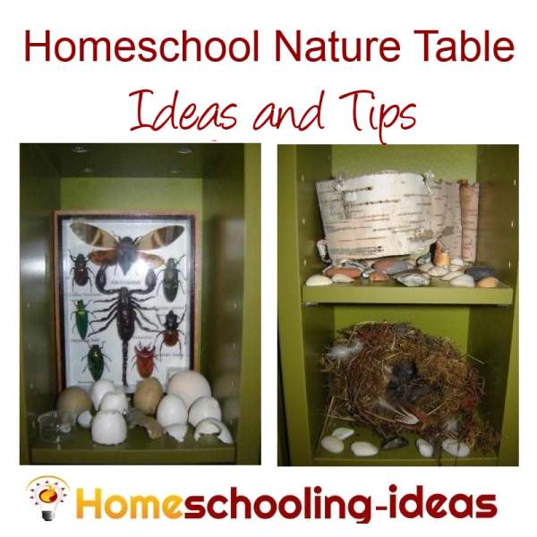 Homeschool Nature Table