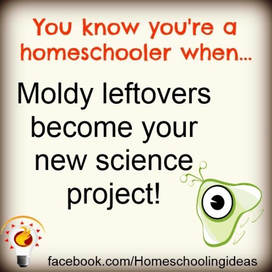 You know you're a homeschooler when....